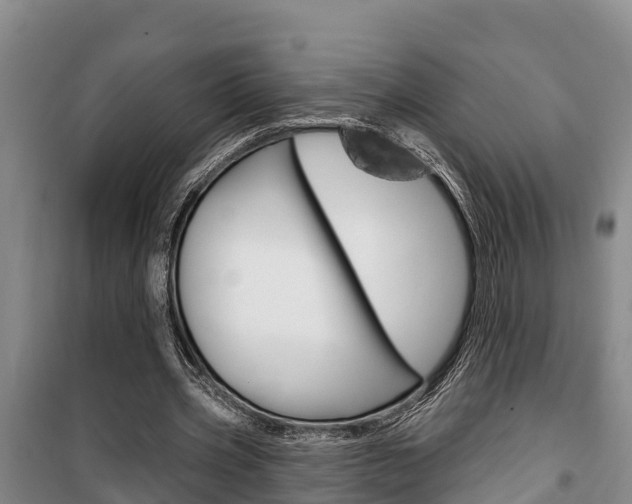 X0000100360533200806060825