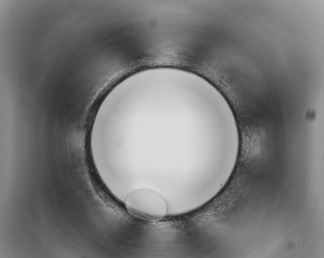 X0000100360534200806060825