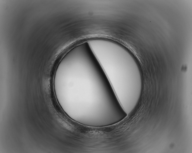 X0000100360535200806060825