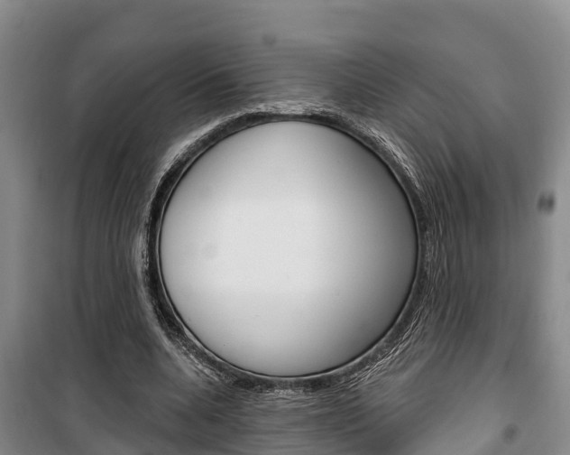 X0000100360536200806060825
