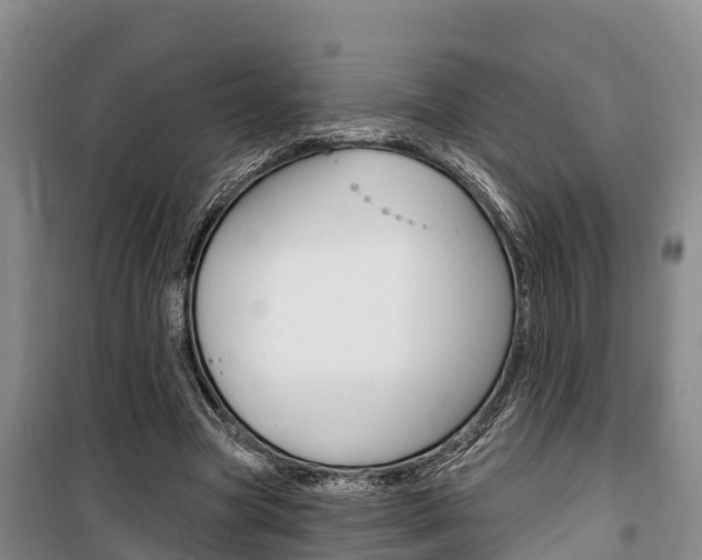 X0000100360537200806060825