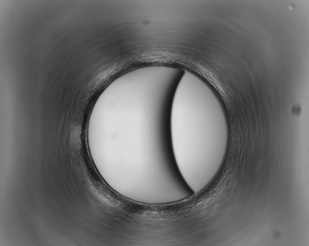 X0000100360538200806060825