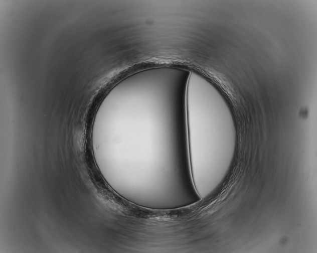 X0000100360540200806060825