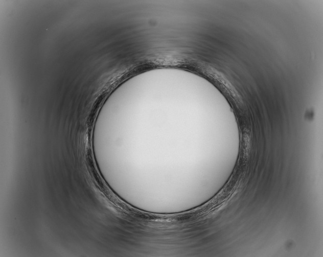 X0000100360541200806060825