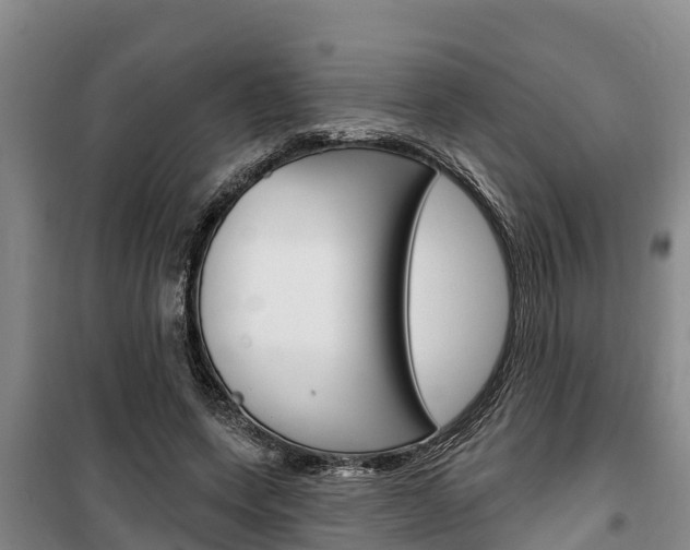 X0000100360543200806060825