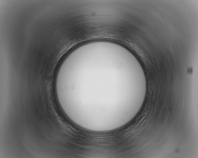 X0000100360544200806060825