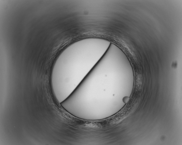 X0000100360545200806060825