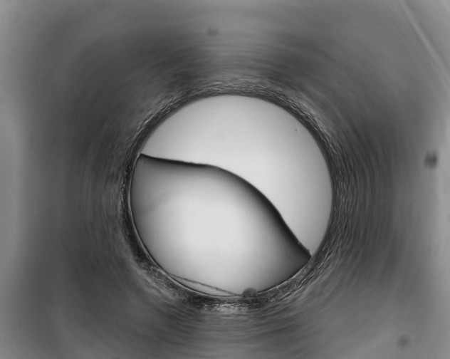 X0000100360546200806060825