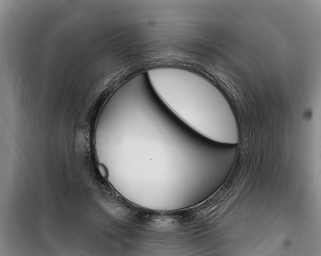 X0000100360547200806060825