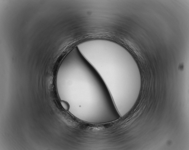 X0000100360548200806060825