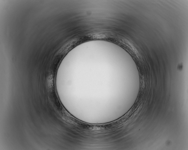 X0000100360549200806060825