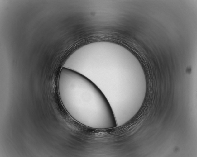 X0000100360551200806060825