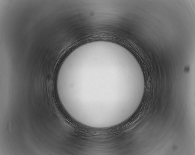 X0000100360552200806060825