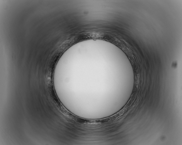 X0000100360553200806060825