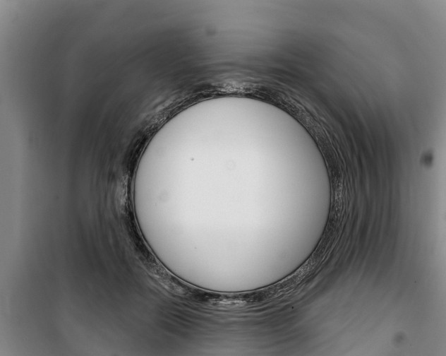 X0000100360554200806060825