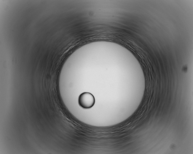 X0000100360556200806060825