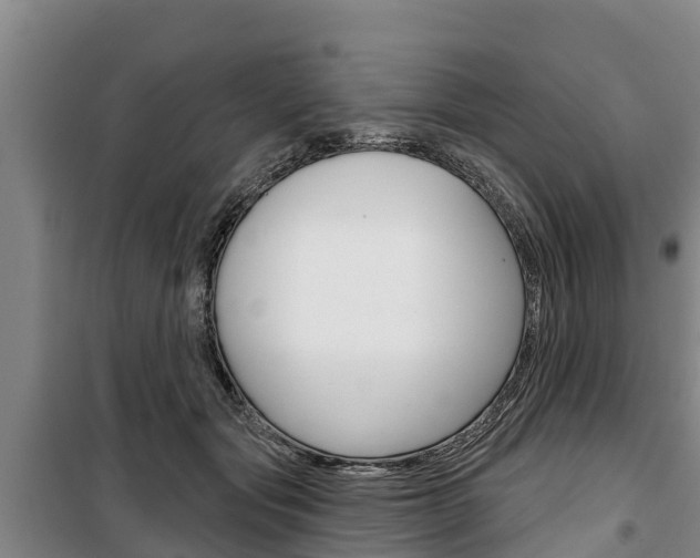 X0000100360557200806060825