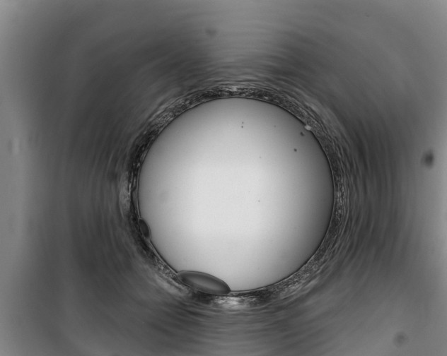 X0000100360558200806060826
