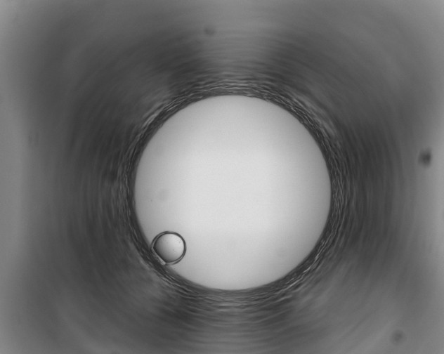 X0000100360560200806060826