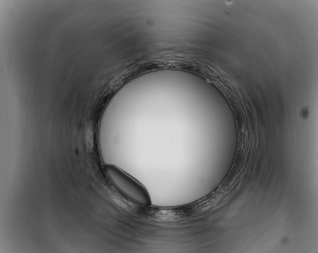 X0000100360562200806060826
