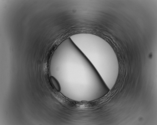 X0000100360564200806060826