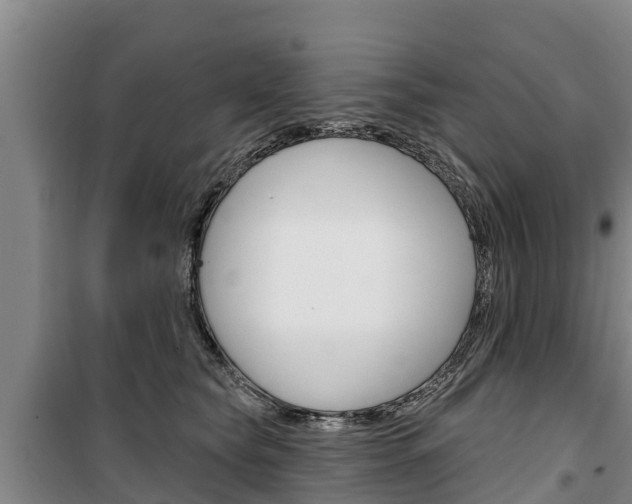 X0000100360565200806060826