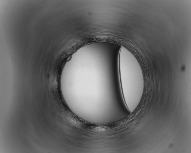 X0000100360566200806060826