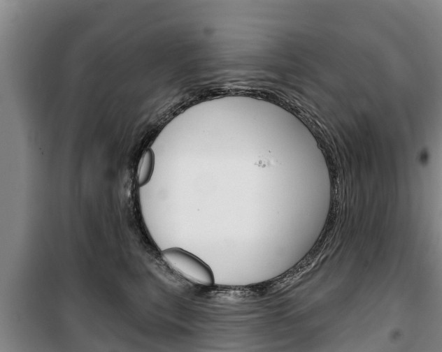 X0000100360567200806060826