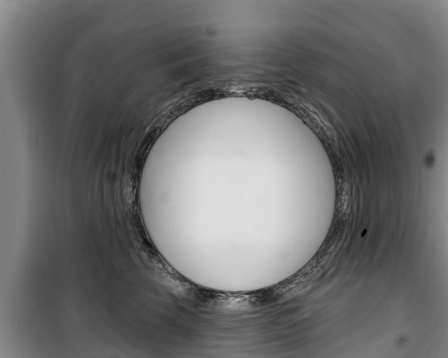 X0000100360569200806060826