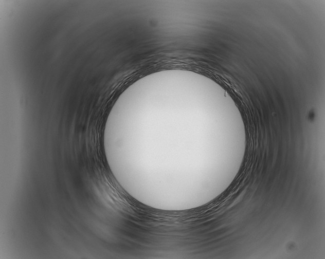 X0000100360571200806060826