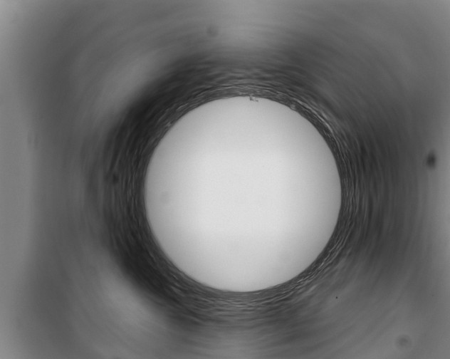 X0000100360572200806060826