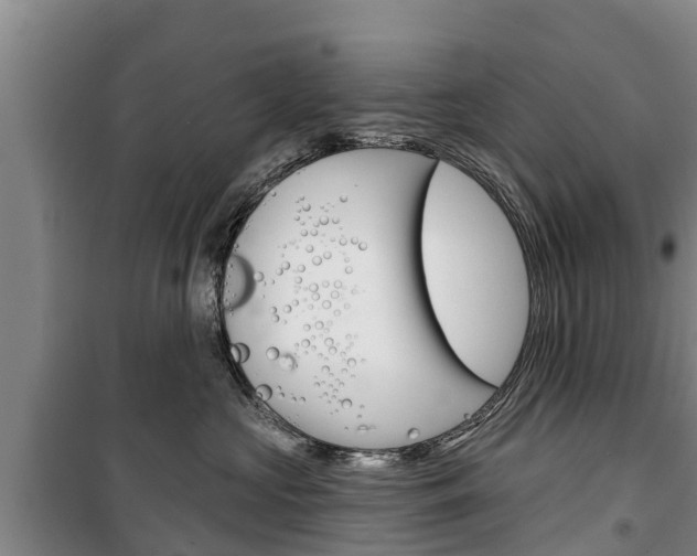X0000100360573200806060826