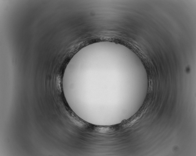 X0000100360575200806060826