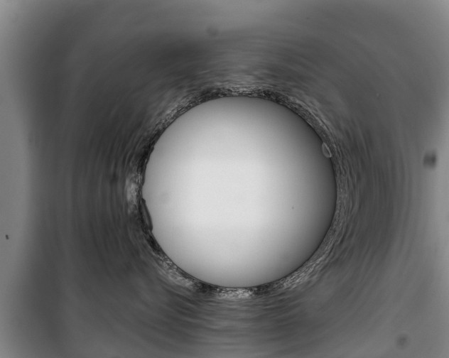 X0000100360576200806060826