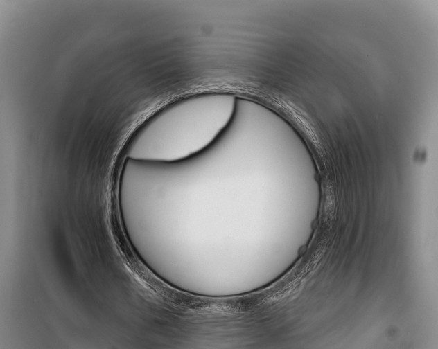 X0000100360578200806060825