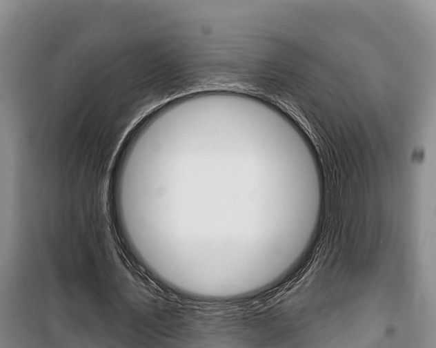 X0000100360579200806060825