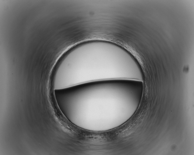 X0000100360580200806060825