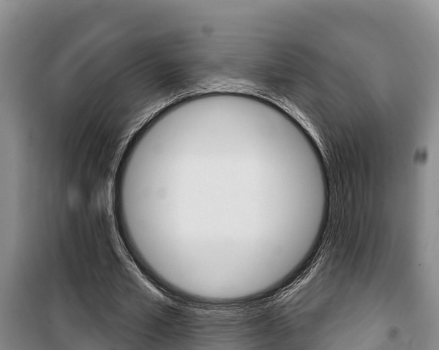 X0000100360581200806060825