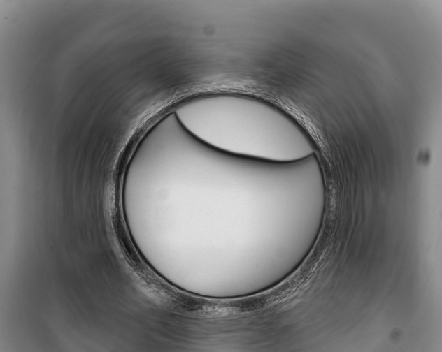 X0000100360582200806060825