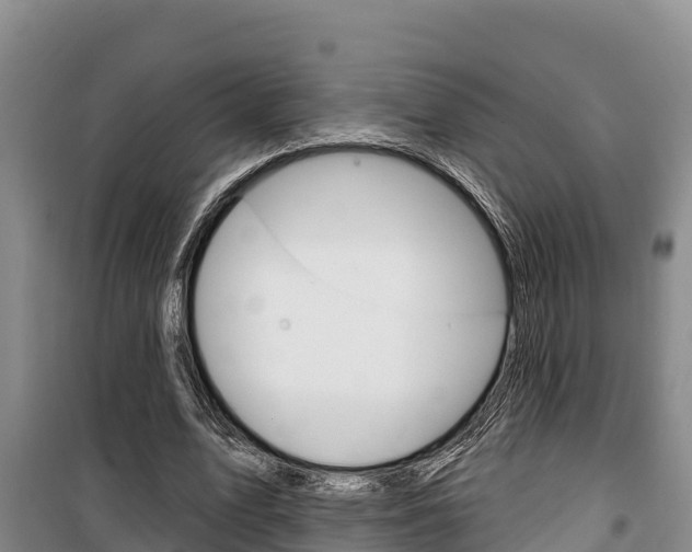 X0000100360583200806060825