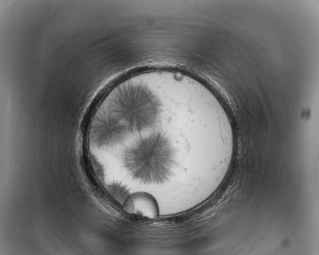 X0000100360584200806060825