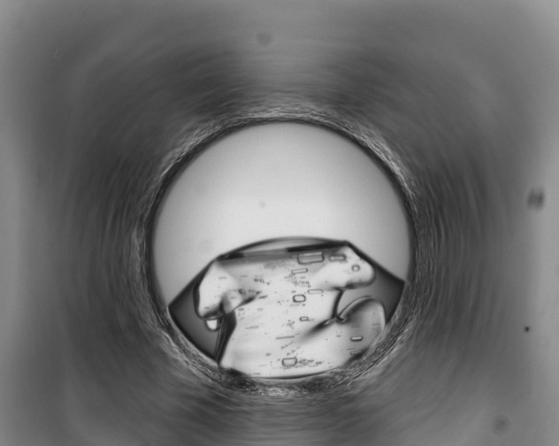 X0000100360585200806060825