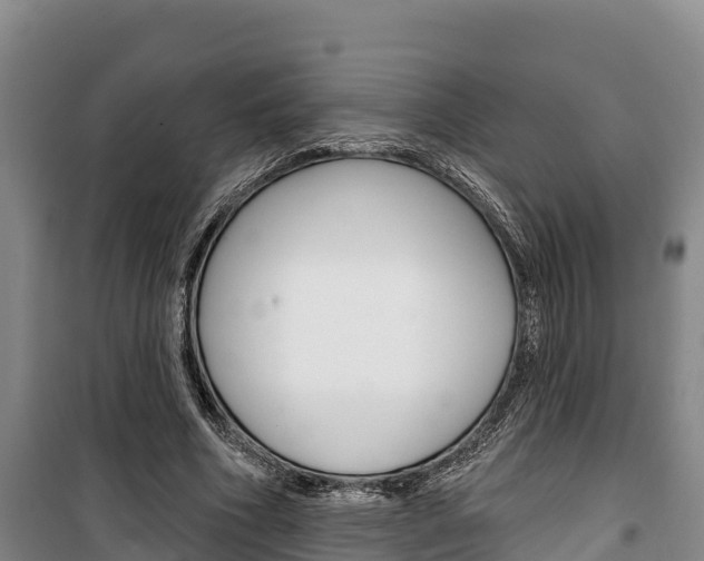 X0000100360586200806060825
