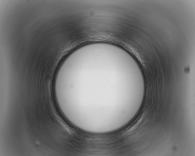 X0000100360589200806060825
