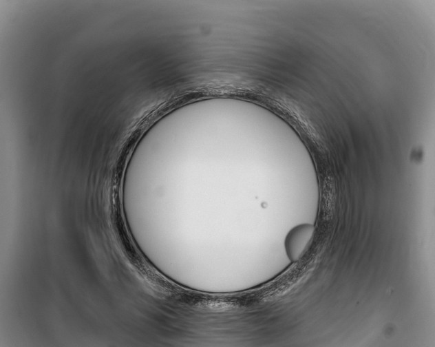 X0000100360590200806060825