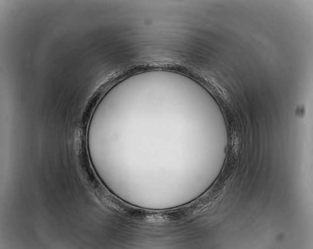 X0000100360591200806060825