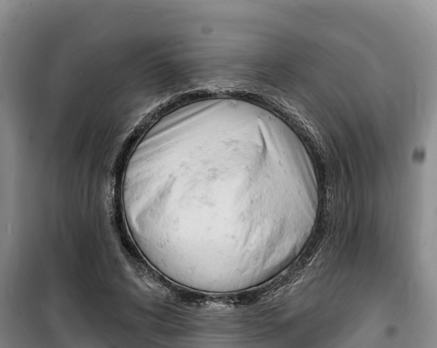 X0000100360592200806060825