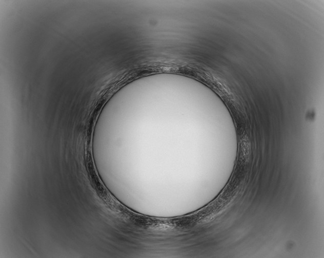 X0000100360594200806060825