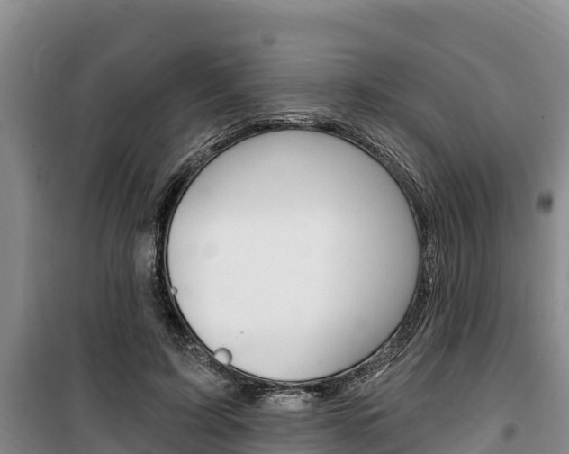 X0000100360595200806060825