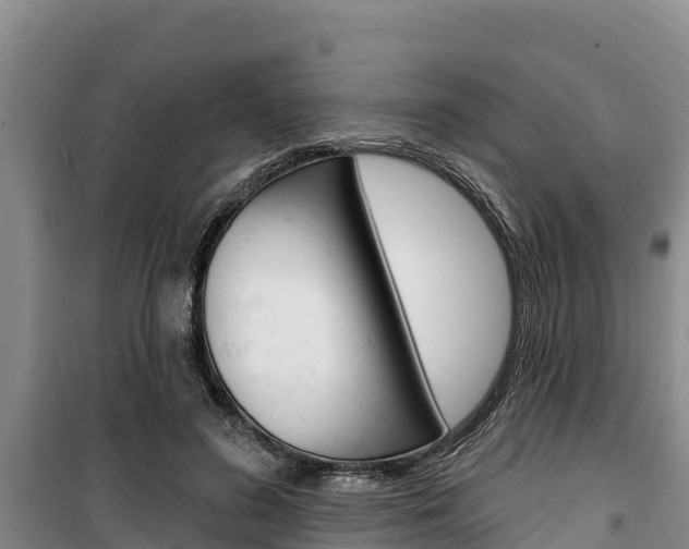 X0000100360596200806060825